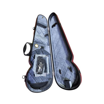 ESTUCHE TRIANGULAR POLI CARBONO PARA VIOLA